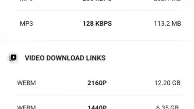 Screenshot von YVideo Downloader 4