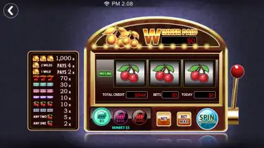 Screenshot von Dinger Poker 3