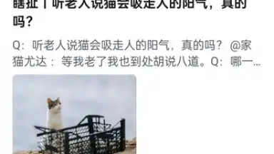 Screenshot von Zhihu 13