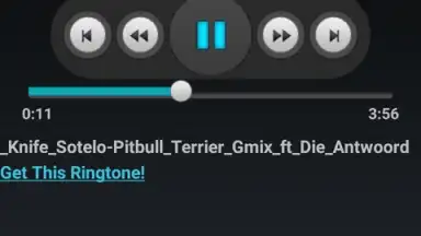 Screenshot von Free Mp3 Downloads 1