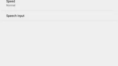 Screenshot von Google Translate 15