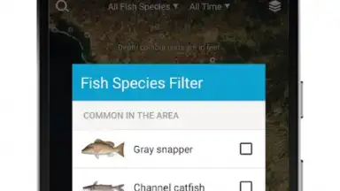 Screenshot von FishBrain 6