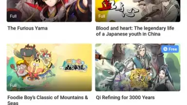 Screenshot von bilibili 11