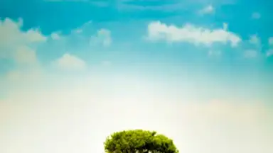 Screenshot von Cute Weather Widget 2