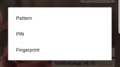 Screenshot von YoWA 4