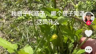 Screenshot von Douyin Express Edition 1