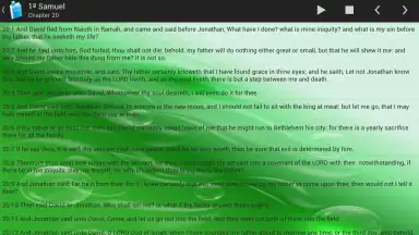 Screenshot von Holy Bible King James Version 10