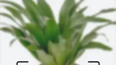 Screenshot von Леруа Мерлен 4