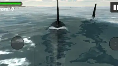 Screenshot von Orca Simulator 5