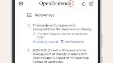 Screenshot von OpenEvidence 4