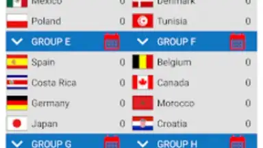 Screenshot von World Football Simulator 11