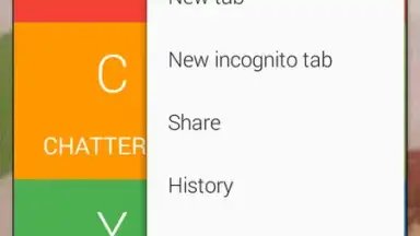 Screenshot von cheetah browser 2