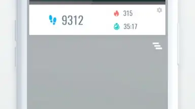 Screenshot von Pedometer 1