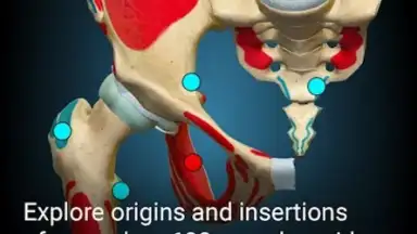 Screenshot von 3D Anatomy Learning 2