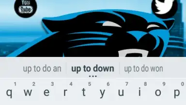 Screenshot von Chetah Browser 5