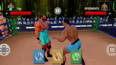 Screenshot von Tag Team Wrestling Games: Mega Cage Ring Fighting 9