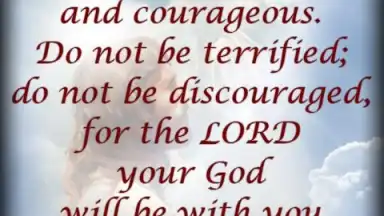 Screenshot von Bible Quotes Live Wallpaper 4