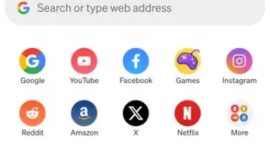 Screenshot von Phoenix Browser 1