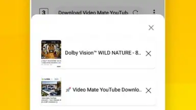 Screenshot von Vidora YouTube Downloader | free & fast 11
