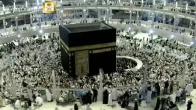 Screenshot von Halal Check 4
