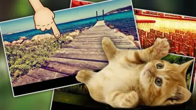 Screenshot von Find Kitten 2
