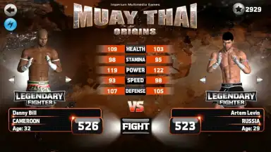 Screenshot von Muay Thai - Fighting Origins 4