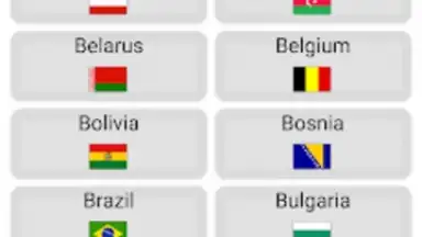 Screenshot von World Football Simulator 13