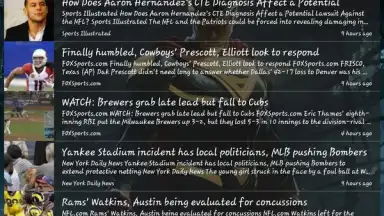 Screenshot von Skynet Browser 1