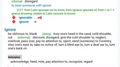 Screenshot von Reverso Translation Dictionary 21