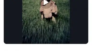 Screenshot von Alight Motion 4