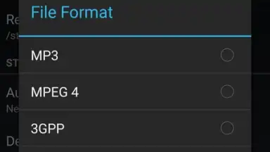 Screenshot von MP3 Call Recorder 3