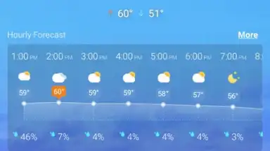 Screenshot von Local Weather Widget 1