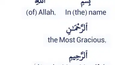Screenshot von Halal Check 3