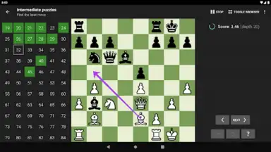 Screenshot von Chess Tactics Pro 8