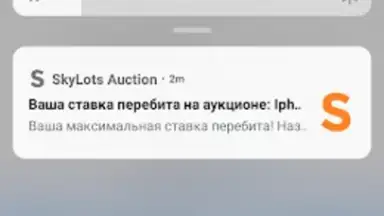 Screenshot von SkyLots: аукцион и маркетплейс 1