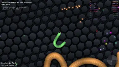 Screenshot von slither.io 2