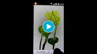 Screenshot von STEAMY живые обои 1