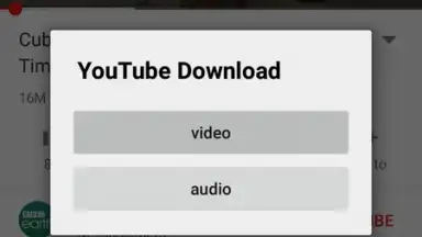 Screenshot von YouTube Download 2