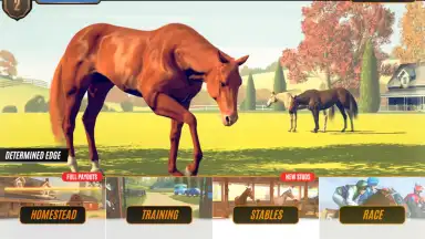Screenshot von Rival Stars Horse Racing 4