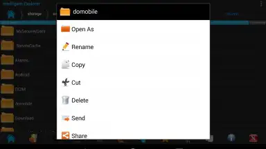 Screenshot von Intelligent Explorer Pro 20