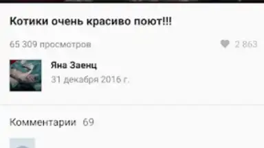 Screenshot von Video App for VK 7