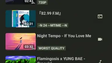 Screenshot von YTDLnis 5