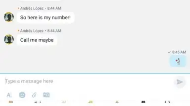 Screenshot von Skype Lite 13