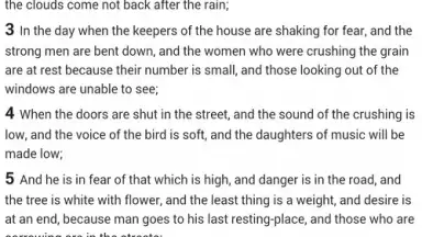 Screenshot von Easy to read Bible 3