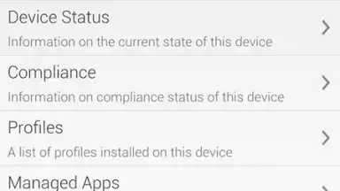 Screenshot von AirWatch Agent 16