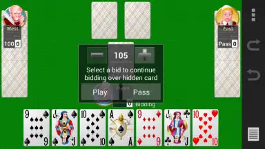 Screenshot von Collection of card games 5