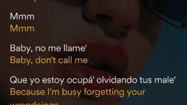 Screenshot von Musixmatch 6