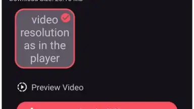 Screenshot von VidMad Video Downloader 3