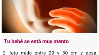 Screenshot von Semanas Embarazo 6