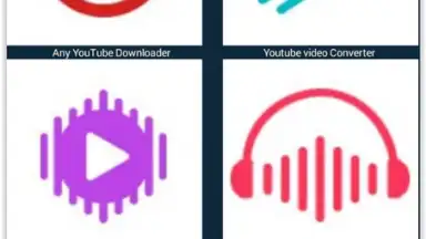 Screenshot von Any Video Downloader 1